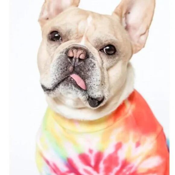 LoveThyBeast Tie-Dye Dog Tee NWT Small - Picture 1 of 5
